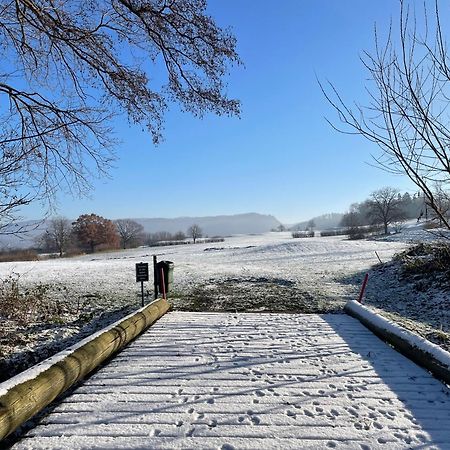 Ferienwohnung Elfengast, Fasssauna, Harzurlaub In Bester Lage Bad Harzburg Exteriör bild